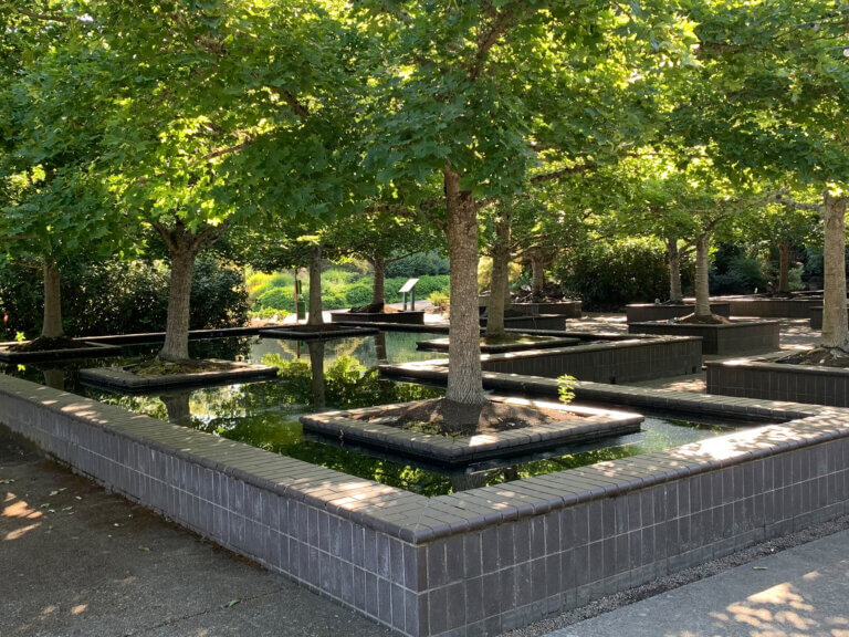 Bosque Garden at the Oregon Garden